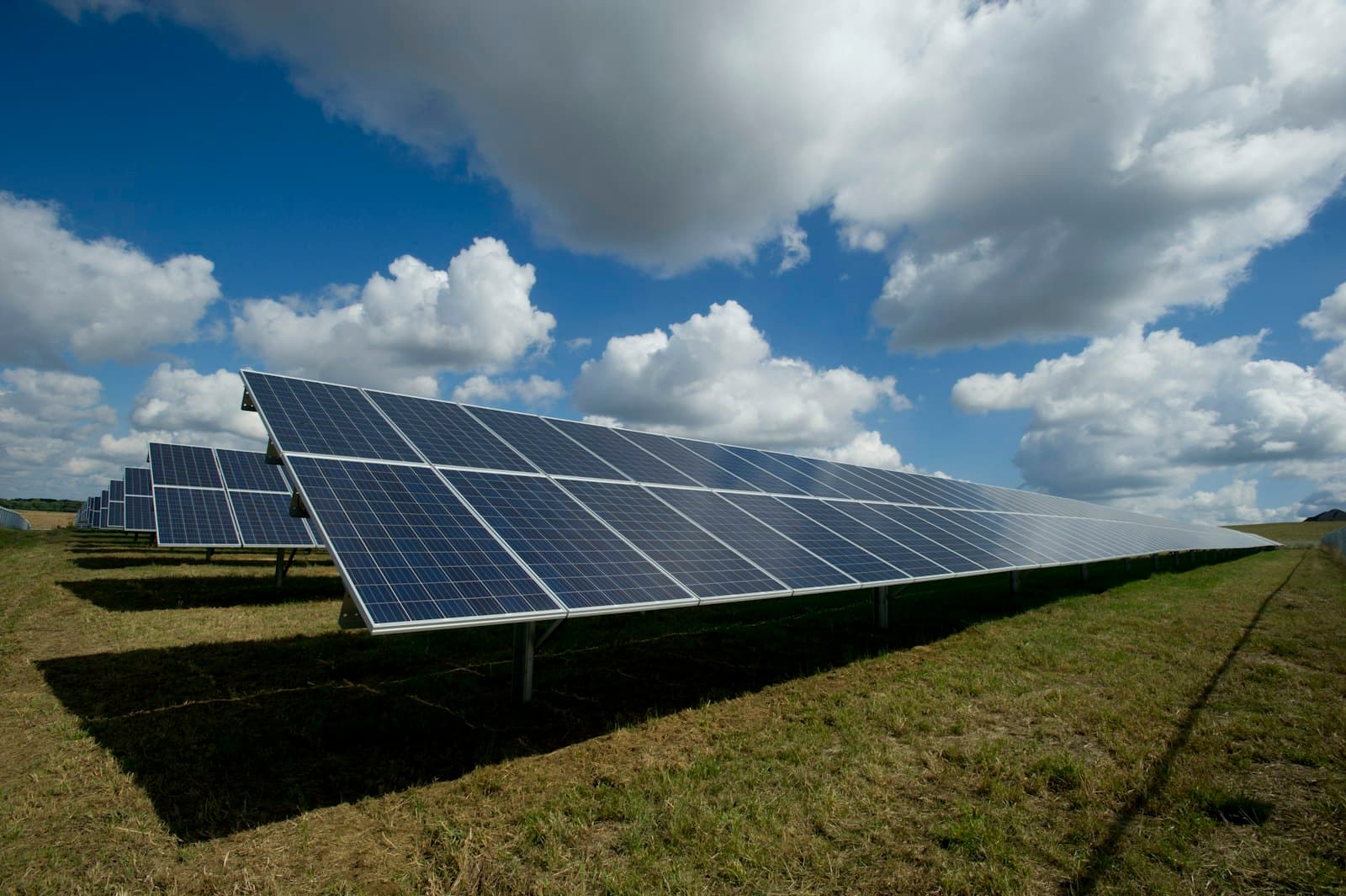 Solar panels mounted in an open field